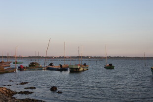 海边停泊的船只与宁静景致