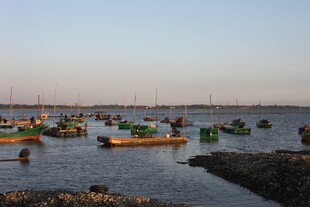 海边停泊众多色彩渔船