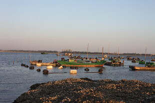 海边停泊的多彩船只