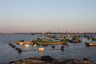 黄昏海港停泊的众多渔船