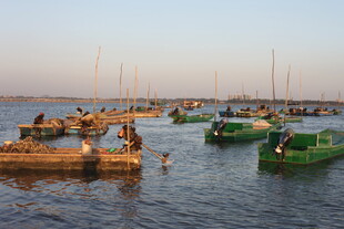 水上码头船只与戏水场景