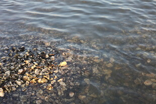 岸边碎石旁的清澈水域