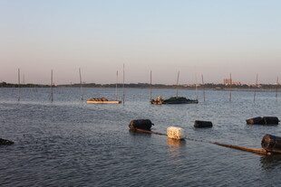 海上浮标与船只景象