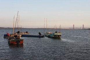 海上船只停泊景象