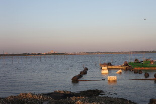 黄昏下的宁静水边景象