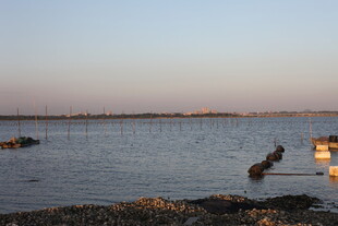 黄昏下的宁静水域景象