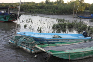 河畔停泊的多彩船只