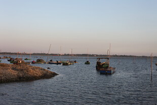 黄昏海港停泊的船只