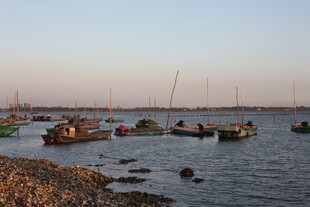 黄昏海港停泊的多艘船只