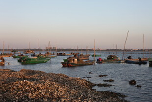 海边停泊的多彩船只
