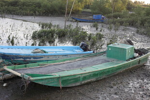 岸边停靠的蓝绿两艘小船