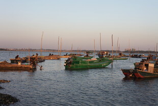 黄昏海港停泊的多彩渔船
