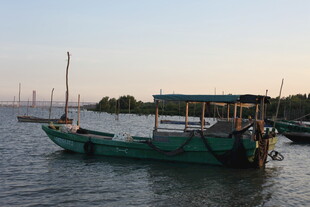 夕阳下停泊的绿色渔船