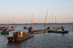 海上渔船停泊景象
