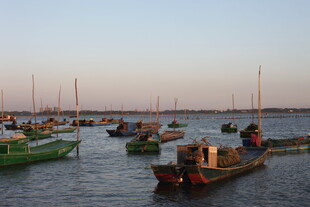 黄昏海港停泊的多彩渔船
