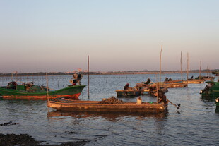 黄昏海港停泊的多彩渔船