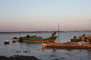 黄昏海港中的停泊渔船