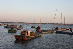 海上停泊的多彩船只