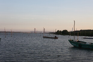 黄昏海港中的停泊船只
