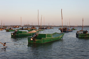 海港停泊的多彩船只