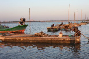 水上停泊的船只与码头