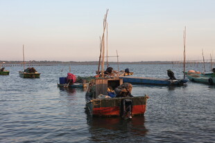 海上停泊的多彩渔船