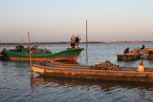 夕阳下的宁静渔港
