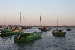 海港暮色中的多彩船只