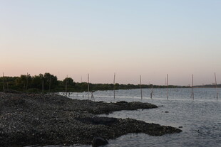 黄昏下的宁静河岸风光