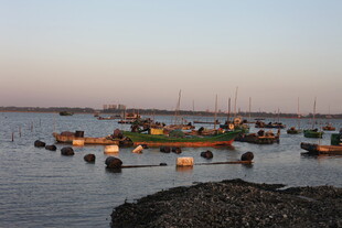 海上停泊的多彩船只