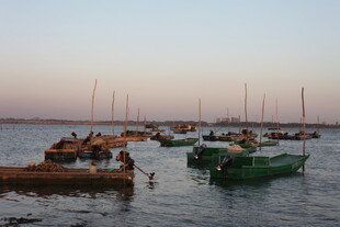 黄昏海港停泊的多彩船只