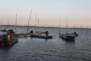 黄昏海港停泊的多艘船只