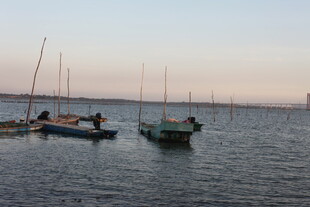 黄昏海港中的停泊小船