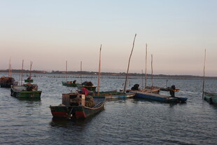 黄昏海港停泊的多彩船只