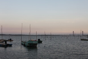 黄昏海港停泊的多艘船只