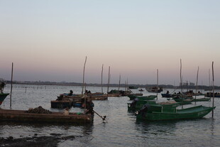 黄昏海港停泊的多彩船只