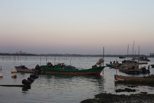 黄昏海港停泊的多彩船只