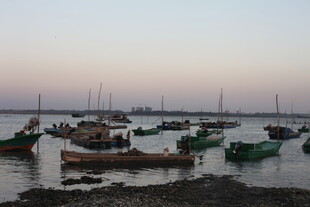 黄昏海港停泊的多彩船只