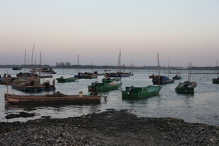 海边停泊的多彩船只