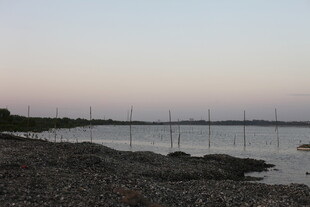 静谧的礁石与水域