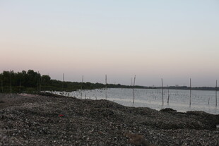 黄昏下的宁静湖畔风光