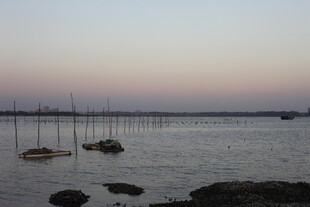 黄昏下的宁静水域景观