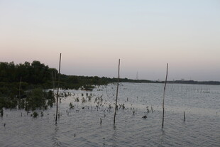 黄昏湖畔垂钓景致