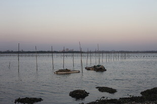 黄昏下的宁静水域景观