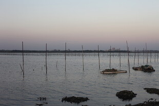 黄昏下的水上养殖场景