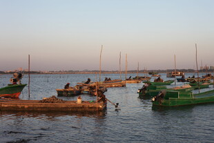 海上渔船作业场景