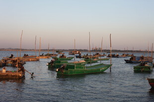 夕阳下的渔港渔船景象