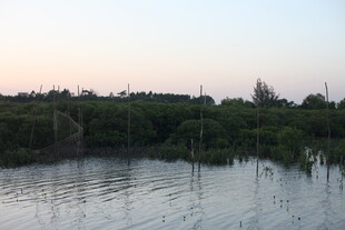 黄昏下的湿地景观