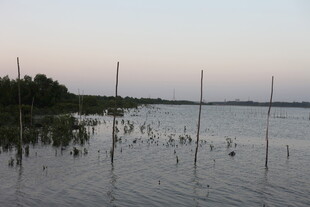 湖畔暮色中的水上景象