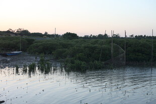 黄昏下的宁静水边景致